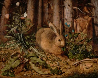 A Hare in the Forest